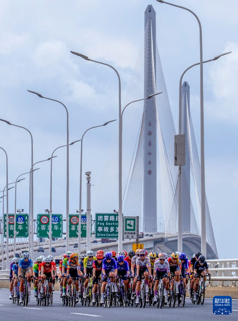 专业ylzz总站线路检测服务