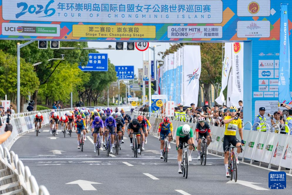 ylzz总站线路检测展示图片