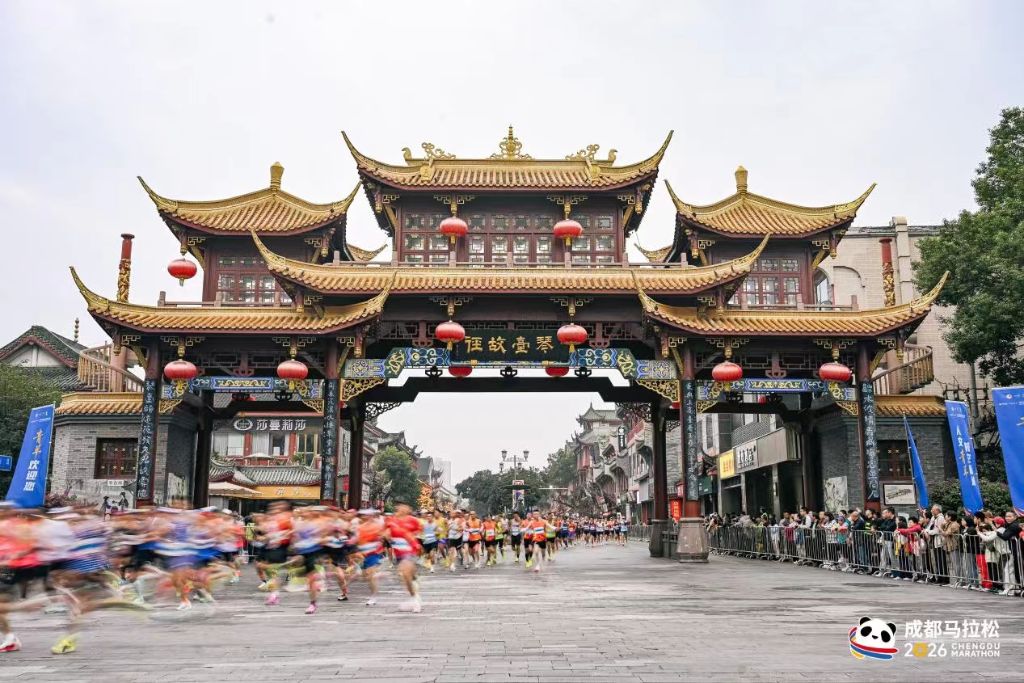 ylzz总站线路检测图片展示